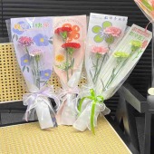 2支康乃馨小花束简单包装