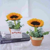 单支向日葵鲜切花小盆栽