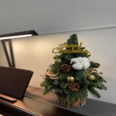 【圣诞】1颗圣诞树圣诞节花束花店送花上门