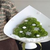 【圣诞】15支绿毛球圣诞树送女友送媳妇鲜花店送花上门